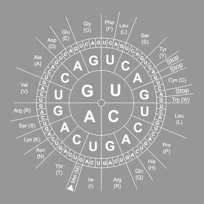 Genetics Genetic Sun Biology Biochemistry Biochemist Science Pullover Women's V-Neck T-Shirt by towamingle | Artistshot