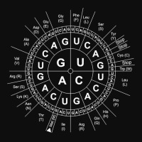 Genetics Genetic Sun Biology Biochemistry Biochemist Science Pullover Crop Top | Artistshot