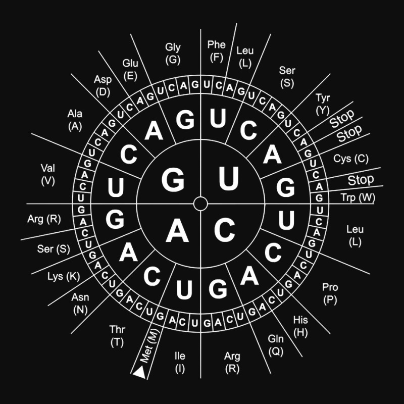 Genetics Genetic Sun Biology Biochemistry Biochemist Science Pullover Crop Top by towamingle | Artistshot