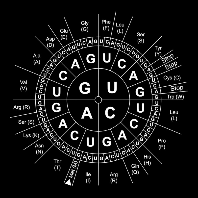 Genetics Genetic Sun Biology Biochemistry Biochemist Science Pullover Cropped Hoodie by towamingle | Artistshot