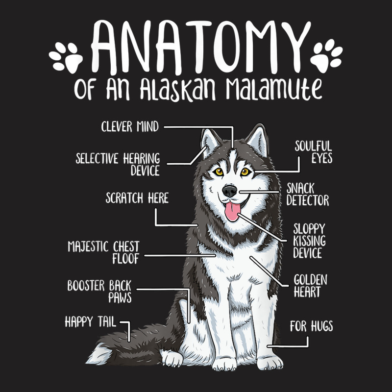 Funny Anatomy Alaskan Malamute Dog Lover T Shirt T-shirt | Artistshot