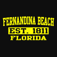 Fernandina Beach T Shirt Florida Amelia Island Tee Shirt Crop Top | Artistshot