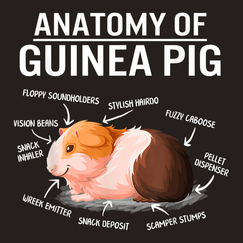 Anatomy Of Guinea Pig Cute Furry Potato Mom Cavy Mama Mother T Shirt Tank Top | Artistshot