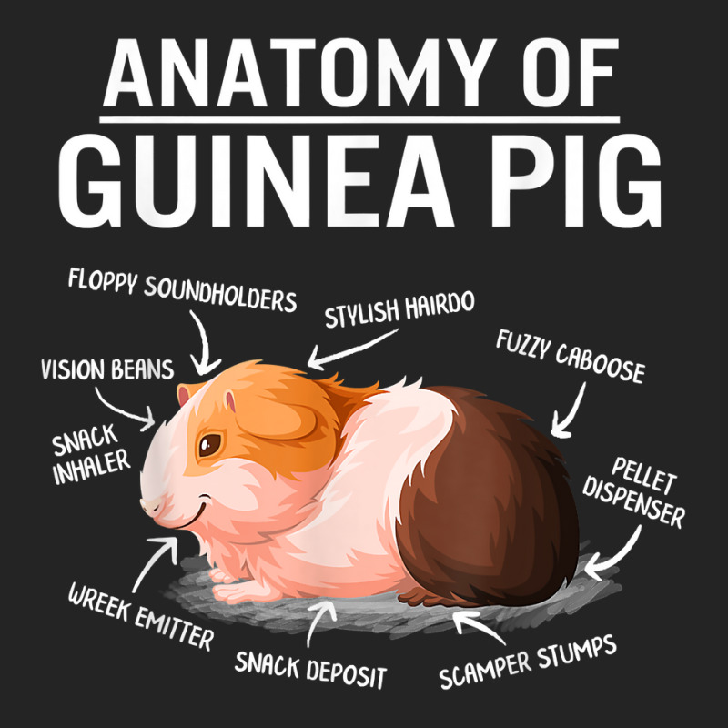 Anatomy Of Guinea Pig Cute Furry Potato Mom Cavy Mama Mother T Shirt 3/4 Sleeve Shirt | Artistshot