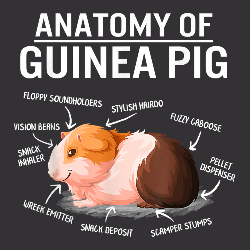 Anatomy Of Guinea Pig Cute Furry Potato Mom Cavy Mama Mother T Shirt Vintage Hoodie And Short Set | Artistshot