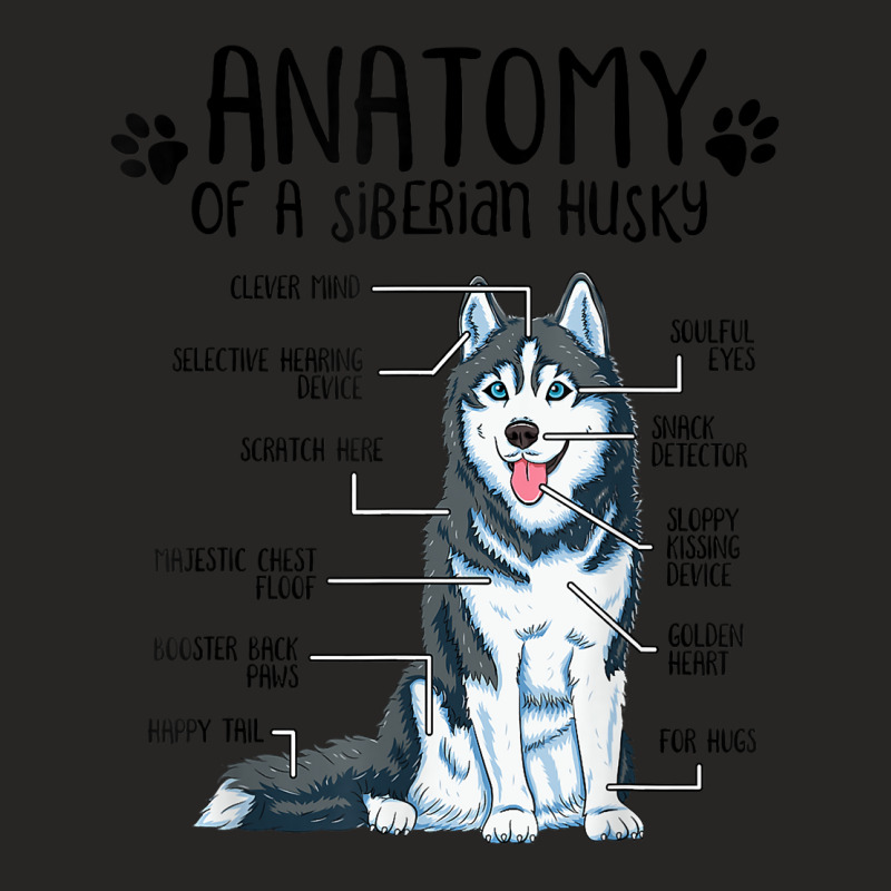 Funny Anatomy Siberian Husky Dog Lover T Shirt Ladies Fitted T-Shirt by men.adam | Artistshot