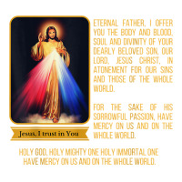 Divine Mercy Jesus Image Chaplet Novena Prayer Catholic T Shirt Long Sleeve Shirts | Artistshot