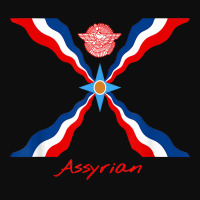 Assyria   Assyrian Flag   Assyrians Lamassu T Shirt Crop Top | Artistshot