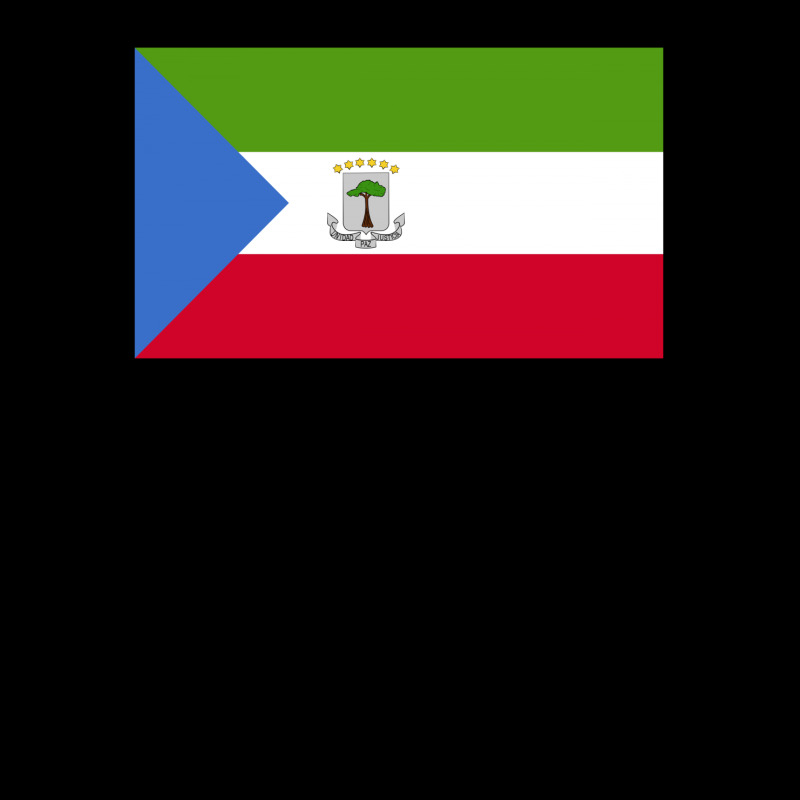 Equatorial Guinea Flag Baby Tee | Artistshot