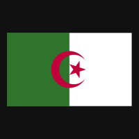 Algeria Flag Motorcycle License Plate | Artistshot