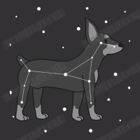 Dog Miniature Pinscher Constellation Puppy Animal Vintage Hoodie And Short Set | Artistshot