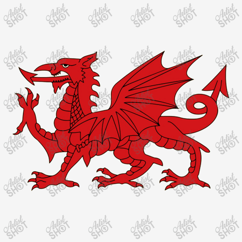 Welsh Red Dragon, Welsh Prides, From Flag Of Wales   Dragon Classic T-shirt | Artistshot