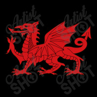 Welsh Red Dragon, Welsh Prides, From Flag Of Wales   Dragon Lightweight Hoodie | Artistshot