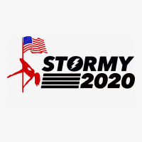 Stormy 2020 Champion Hoodie | Artistshot