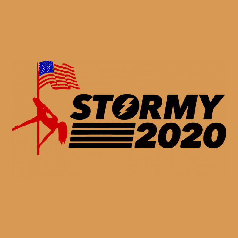 Stormy 2020 Vintage T-Shirt by rastyrocl | Artistshot