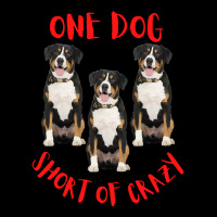 One Dog Short Of Crazy T  Shirtone Dog Short Of Crazy T  Shirt (16) Baby Tee | Artistshot