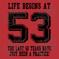 53rd Birthday Life Begins At 53 T-shirt | Artistshot