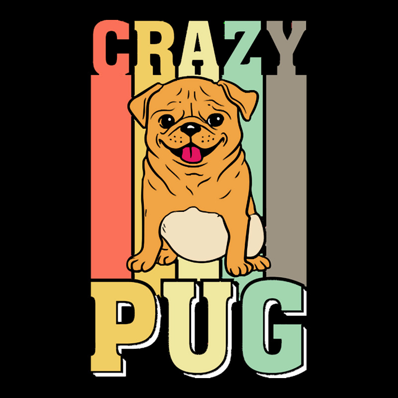 Crazy Pug Lady T  Shirtcrazy Pug Lady Funny Gift Idea For Pug Lovers D Zipper Hoodie | Artistshot