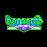 Bonnaroo Music Festival 2014 V-neck Tee | Artistshot