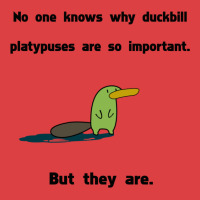 Duckbill Platypuses Are Important Tank Top | Artistshot
