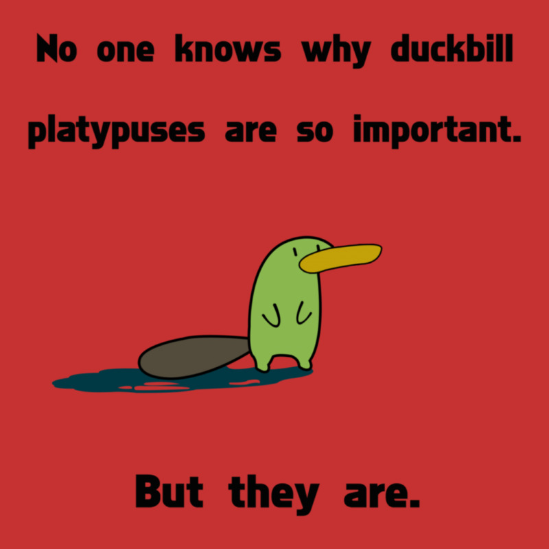 Duckbill Platypuses Are Important V-neck Tee | Artistshot