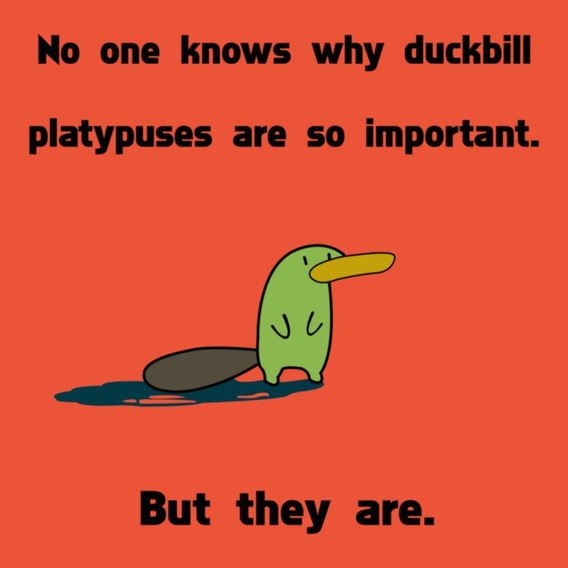 Duckbill Platypuses Are Important T-shirt | Artistshot