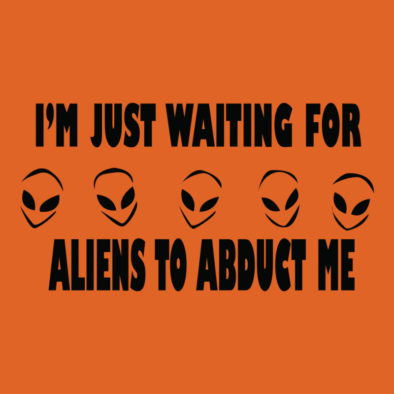 I'm Just Waiting For Aliens To Abduct Me Unisex Hoodie | Artistshot