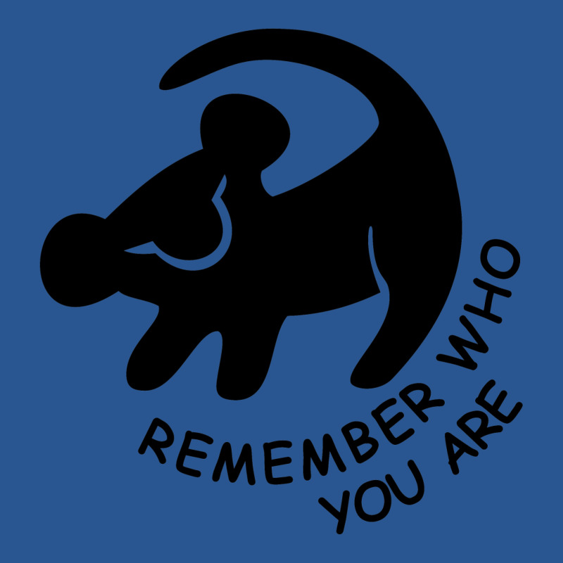 Lion King Remember Who You Are T-shirt | Artistshot