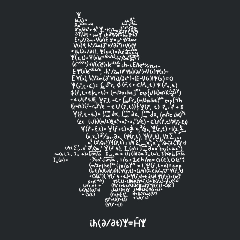 Schrödinger’s Equation Crewneck Sweatshirt | Artistshot