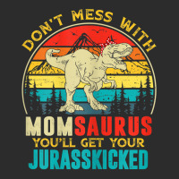 Womens Fun Women Retro Momsaurus Dinosaur T Rex Mothers Day T Shirt Exclusive T-shirt | Artistshot