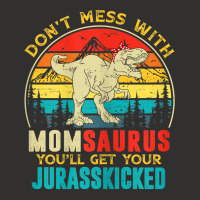 Womens Fun Women Retro Momsaurus Dinosaur T Rex Mothers Day T Shirt Champion Hoodie | Artistshot