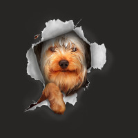 Yorkie Tshirt, Yorkshire Terrier Shirt, Yorkie Lover T Shirt Ladies Fitted T-shirt | Artistshot