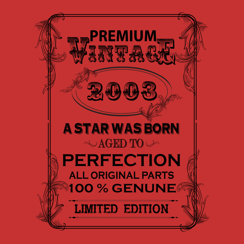 Premium Vintage 2003 V-neck Tee | Artistshot