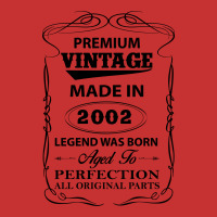 Vintage Legend Was Born 2002 V-neck Tee | Artistshot