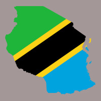 Tanzania Flag Map Vintage Short | Artistshot