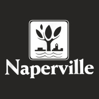 Naperville Illinois T Shirt Ladies Fitted T-shirt | Artistshot