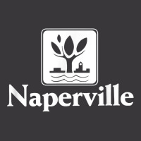 Naperville Illinois T Shirt Ladies Curvy T-shirt | Artistshot