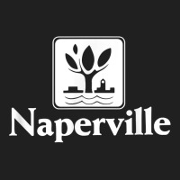 Naperville Illinois T Shirt Ladies Polo Shirt | Artistshot