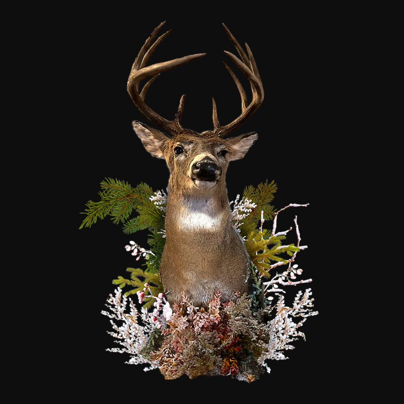 White Tail Deer Buck Antler Mounted Head 10 Pointer Hunter Premium T S Crop Top | Artistshot