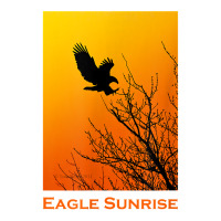 Bald Eagle Sunrise T Shirt Youth Sweatshirt | Artistshot