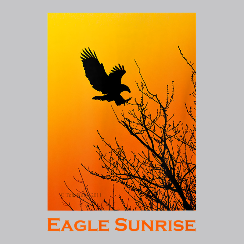 Bald Eagle Sunrise T Shirt Baby Bodysuit | Artistshot