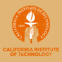 California Institute Of Technology Caltech Vintage Hoodie | Artistshot