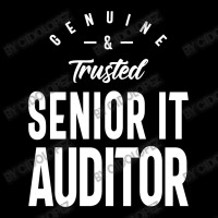 Senior It Auditor Job Title Gift Cropped Hoodie | Artistshot