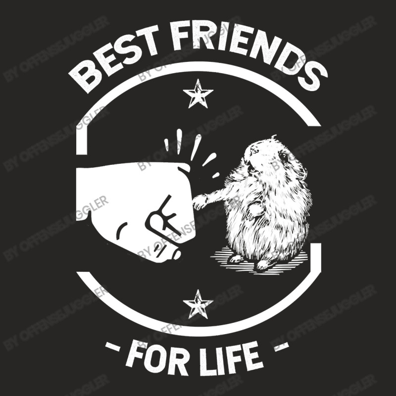 Hamster Guinea Pig Best Friends For Life Cute Hamster Lover Fist Bump Ladies Fitted T-Shirt by offensejuggler | Artistshot