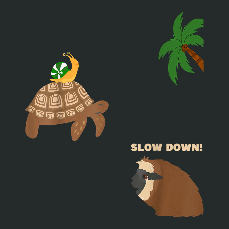 Sloth And Turtle Snail Running T Shirt Women's Triblend Scoop T-shirt by Smykowskicalob1991 | Artistshot