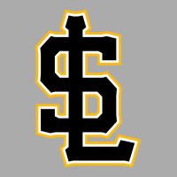 Salt Lake Bees T-shirt | Artistshot