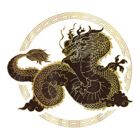 Classic Chinese Dragon In Circle T Shirt V-neck Tee | Artistshot