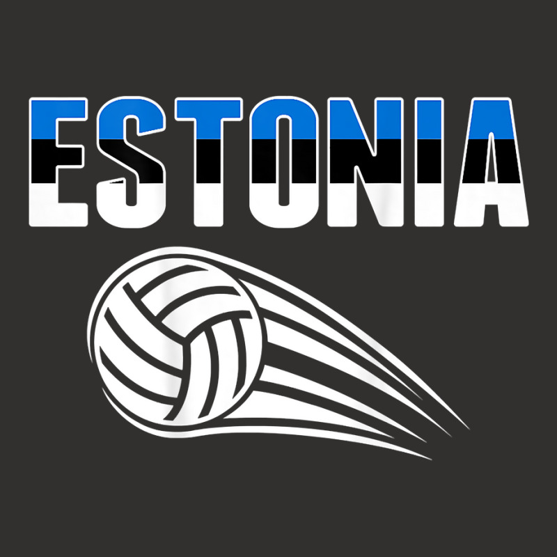 Estonia Volleyball Fans Jersey   Estonian Flag Sport Lovers T Shirt Champion Hoodie | Artistshot