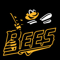 New Britain Bees Pocket T-shirt | Artistshot