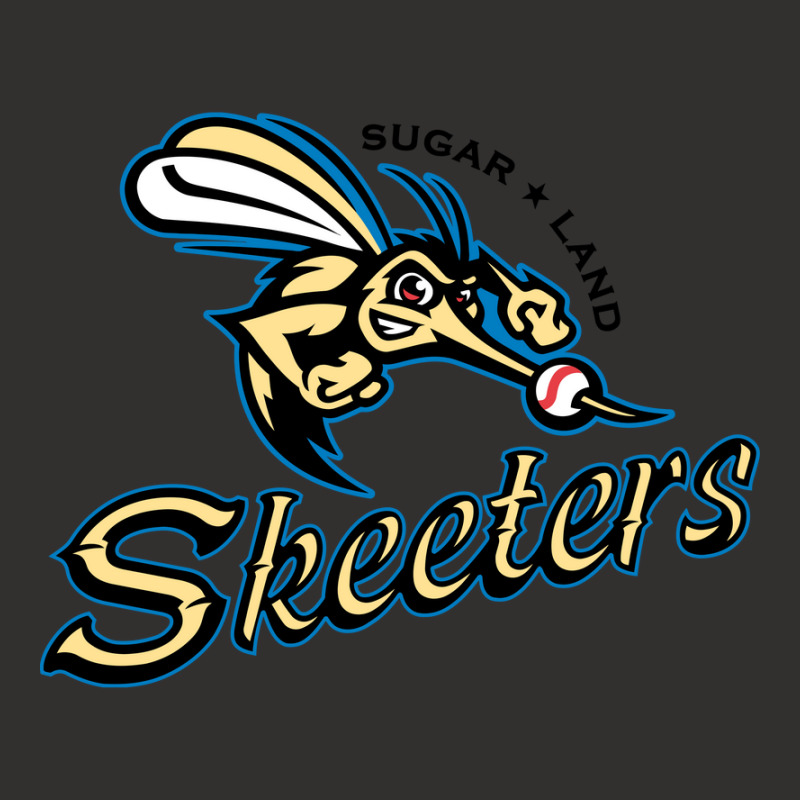 Sugar Land Skeeters Champion Hoodie | Artistshot